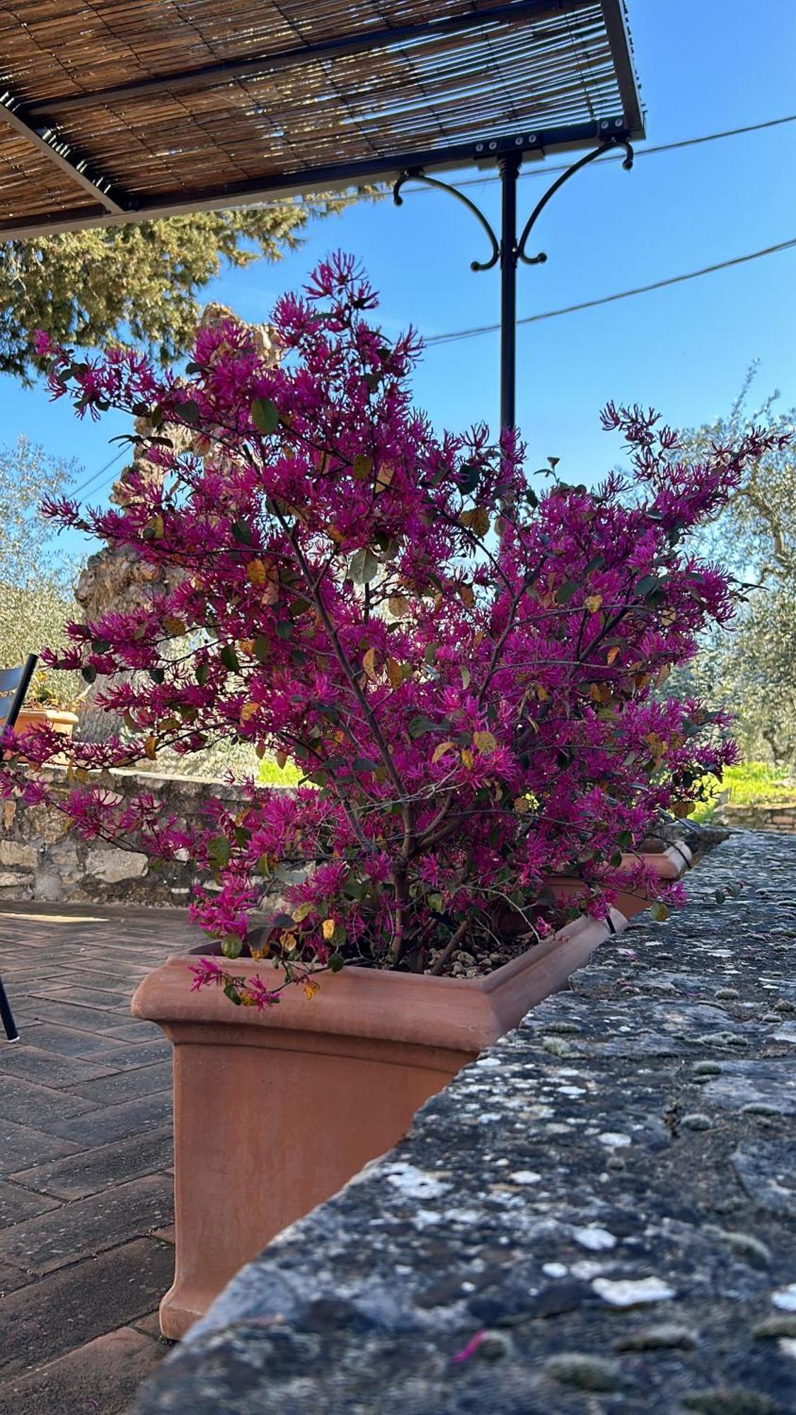 Borgo A Monti Di Sotto Villa Gaiole in Chianti Exterior foto